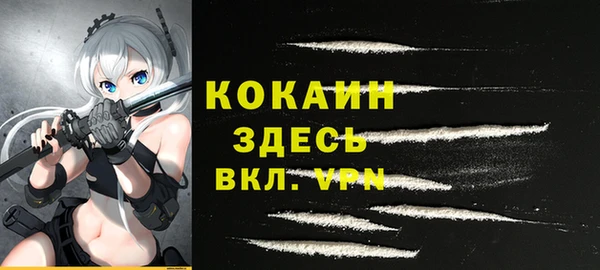 твердый Алексин