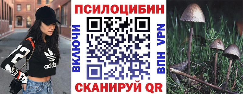 Галлюциногенные грибы Psilocybine cubensis где купить наркотик ссылка на мегу ССЫЛКА Донской